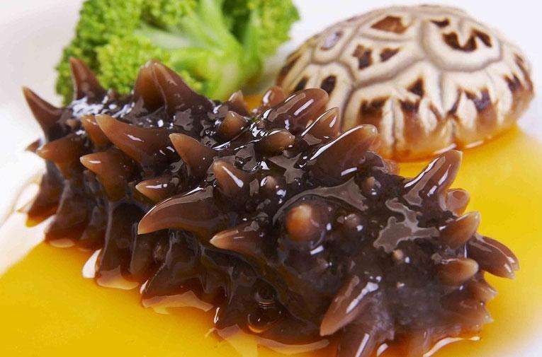 乐鱼页面在线登录-乐鱼(中国)